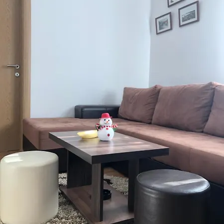 Rajkovic Apartamento *