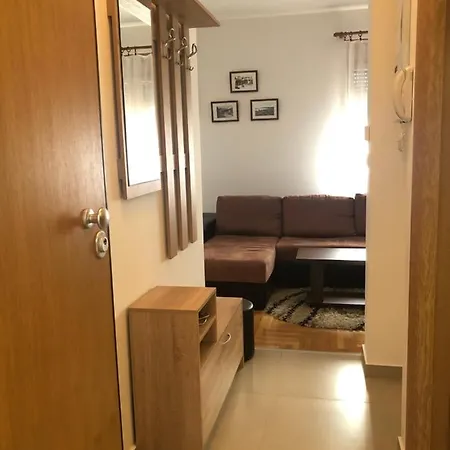 Apartamento Rajkovic *