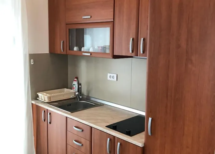 Rajkovic 아파트 *