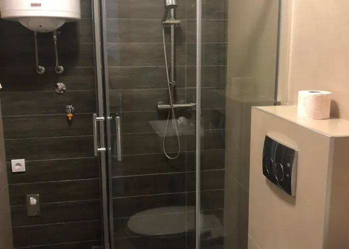 Rajkovic 아파트 *