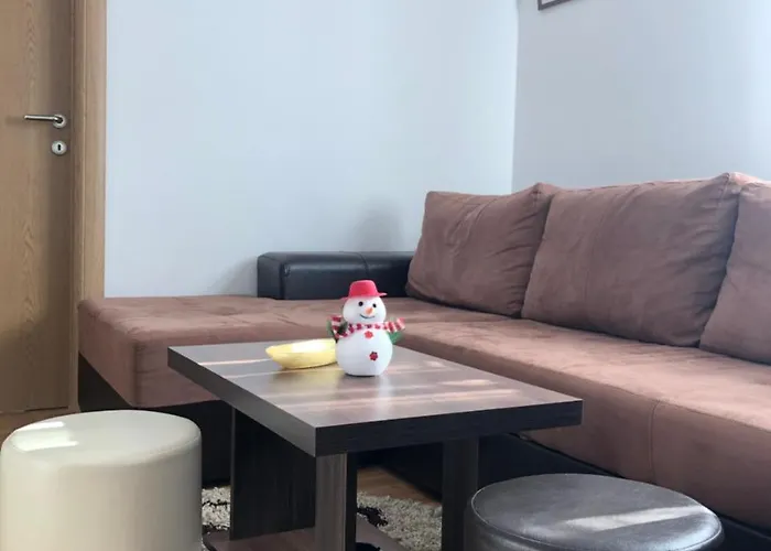 Rajkovic 아파트 *