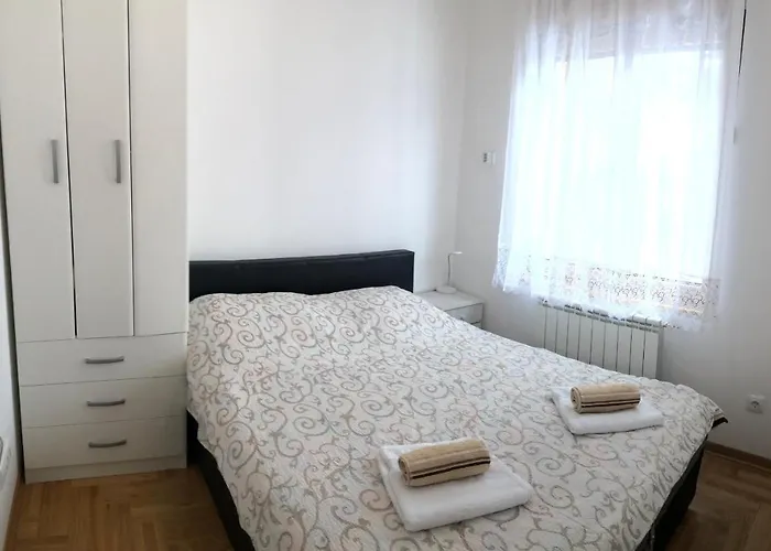 Rajkovic 즐라티보