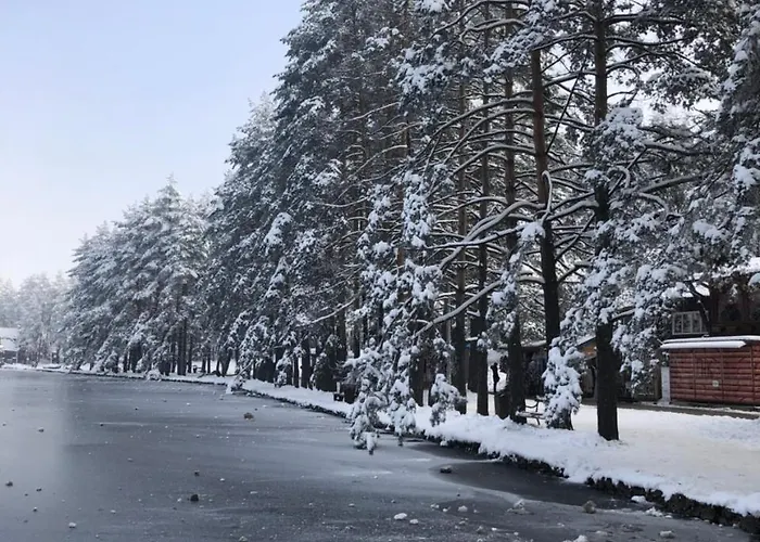 Rajkovic * 즐라티보