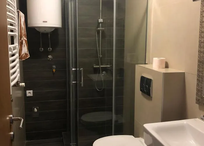 Rajkovic 아파트 *