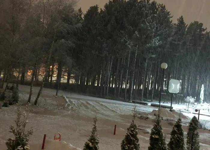 Rajkovic * 즐라티보