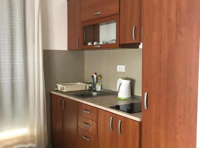 Διαμέρισμα Rajkovic Ζλάτιμπορ