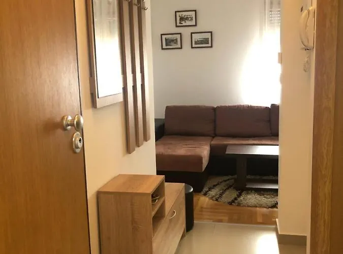 Διαμέρισμα Rajkovic *