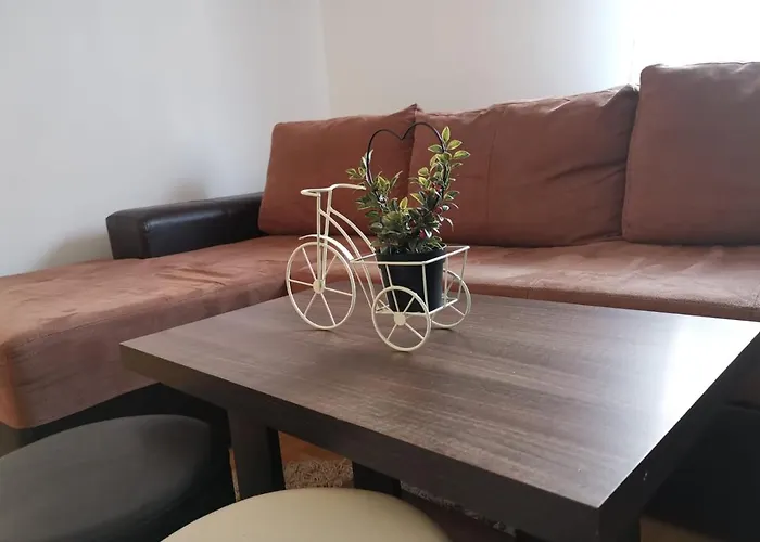 Rajkovic 즐라티보