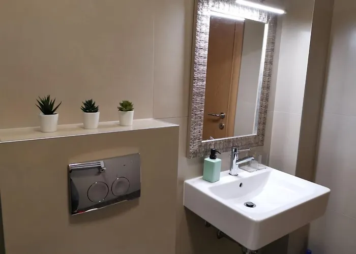 Rajkovic * 즐라티보