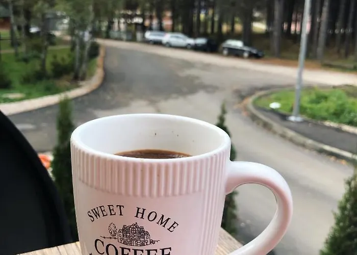 Rajkovic * Ζλάτιμπορ